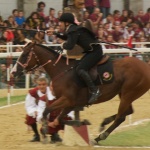 Note the ring on the jousting pole.