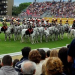 Carabinieri performance.