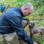 Truffle Hunting